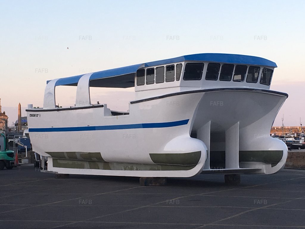 Cougar Displacement catamaran