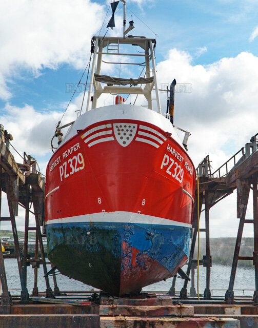 Large picture for advert 125333