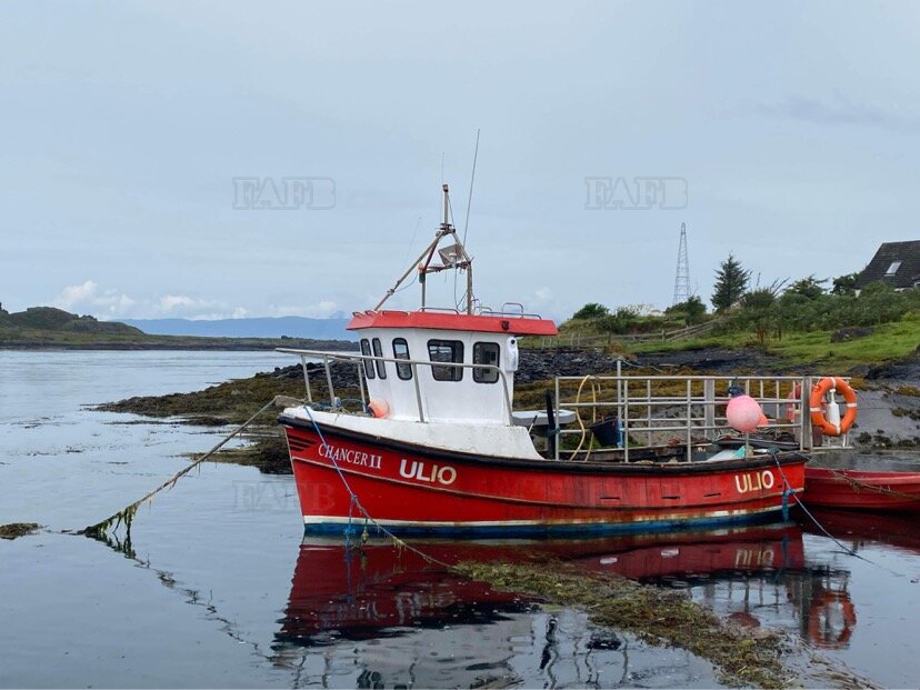 Large picture for advert 126033