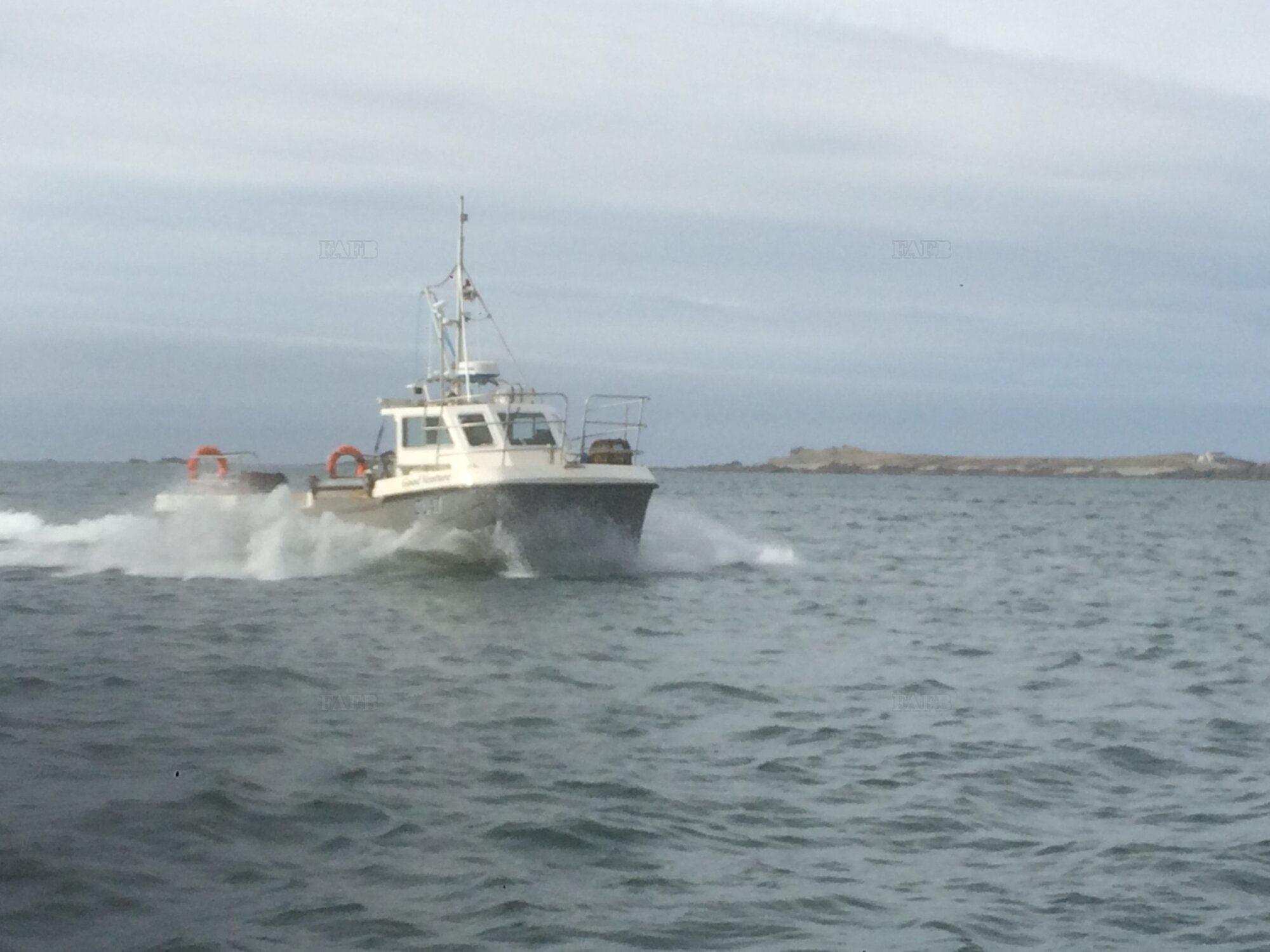 Large picture for advert 124733