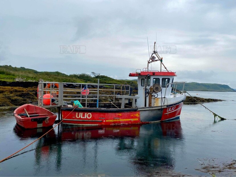 Large picture for advert 126033