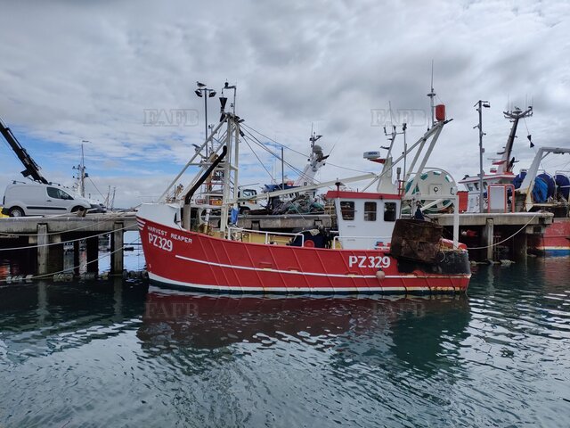 Large picture for advert 125333