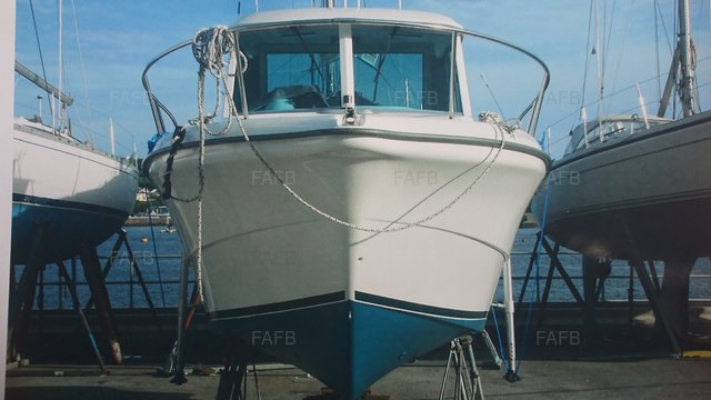 Large picture for advert 101183