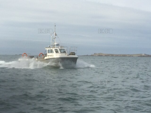 Large picture for advert 124733