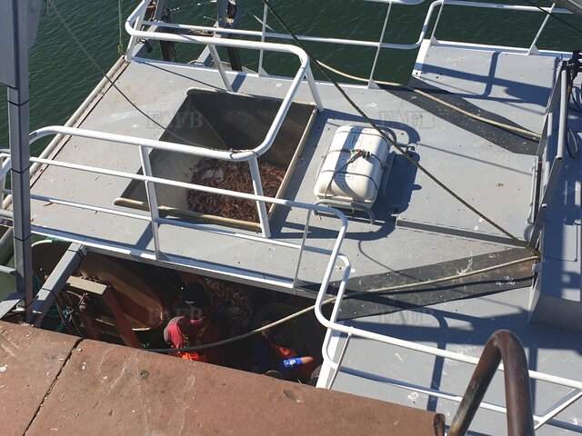 Large picture for advert 118983