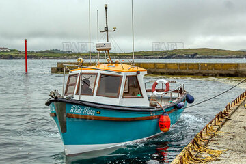 Main picture for advert 129183