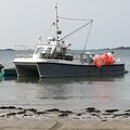 Extra picture for advert 124733